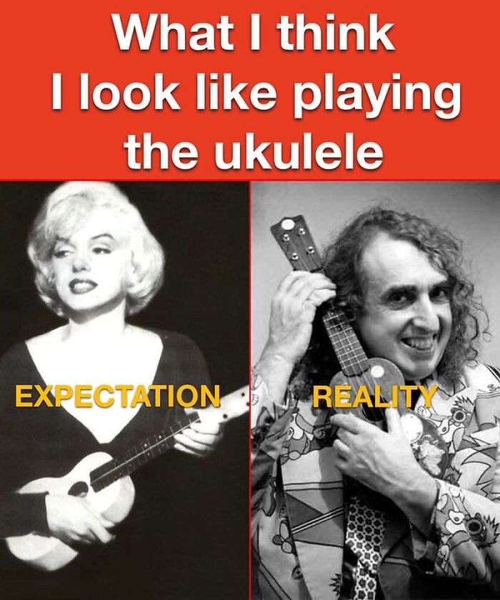 Took Up Ukulele