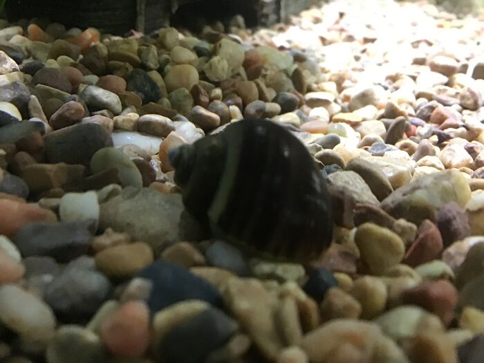 We Have A Zoo As Well.