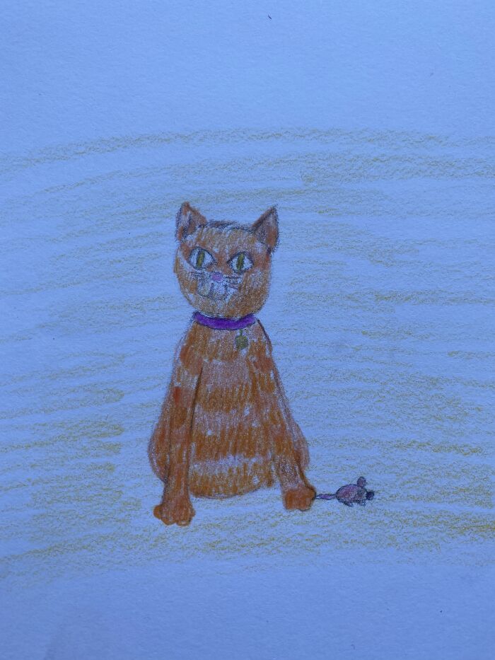 I’m A Detailed Drawer Especially When It Comes To Animals Meow 😸