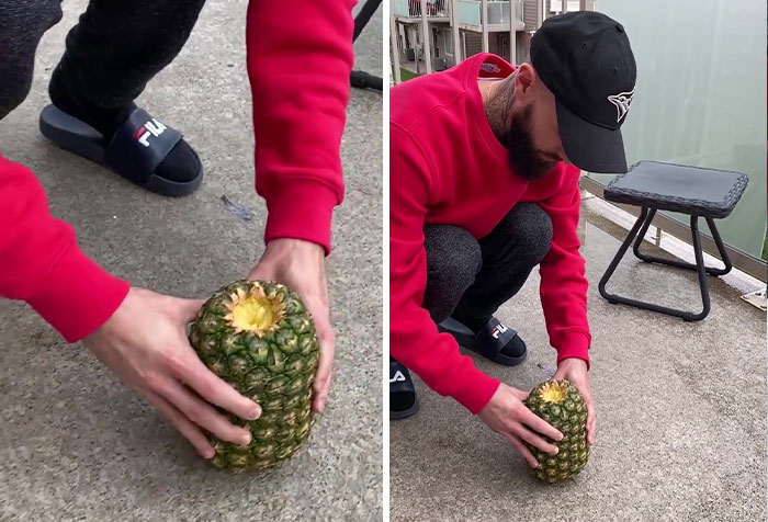 32+ Million People Can’t Stop Watching This Video Of How To ‘Correctly’ Eat Pineapples 32+ Million People Can’t Stop Watching This Video Of How To ‘Correctly’ Eat Pineapples