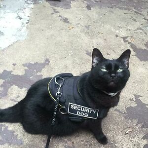 emilystevens_1 avatar