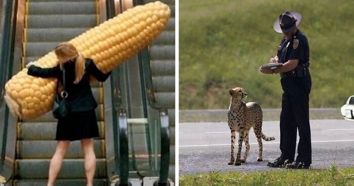 30 Funny And Confusing Pics Posted By The “Images That Require More Context” Twitter Page