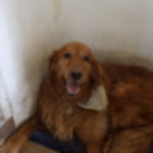 hannahwalters avatar