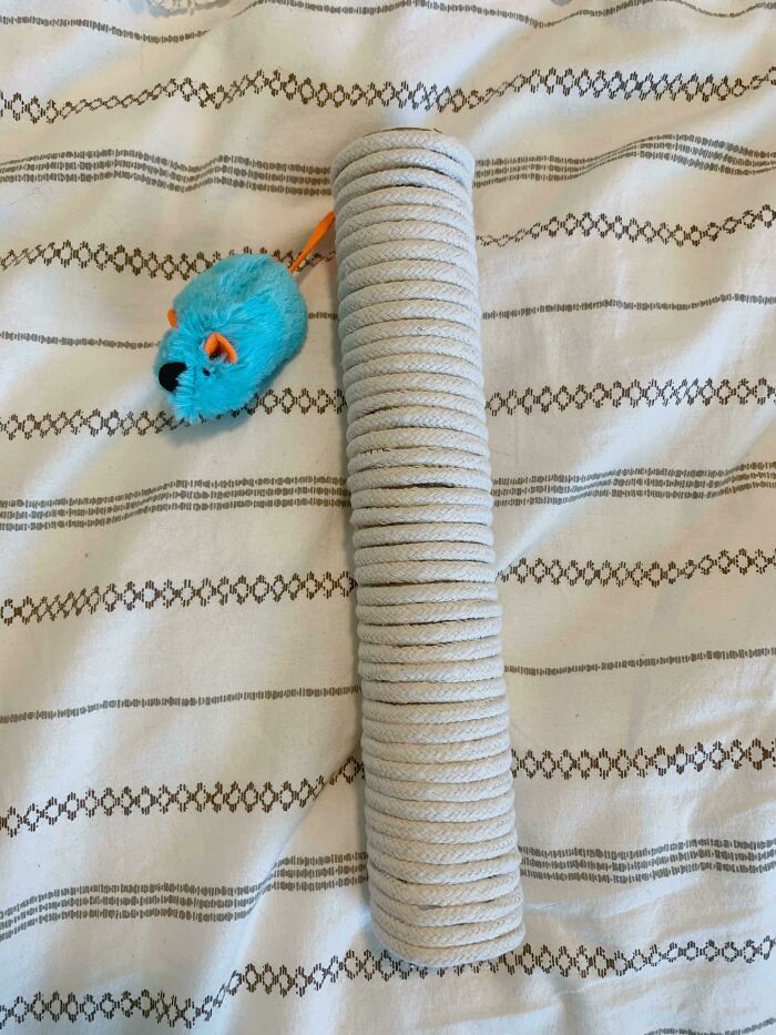 Used A Paper Towel Roll, Hot Glue, And Some Leftover Rope From Another Project To Make A Cat Scratcher For My New Kitten 