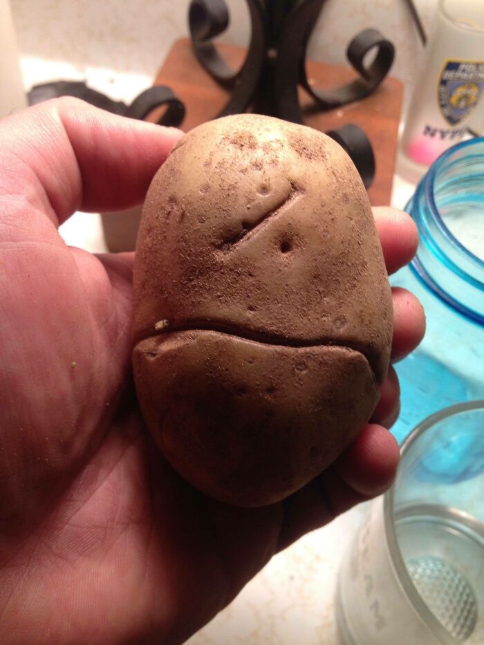 This Potato Looks Like A One-Eyed Canadian From South Park