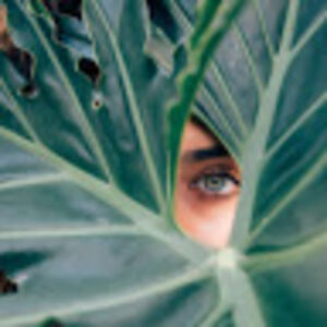 j_alfontchalmers avatar