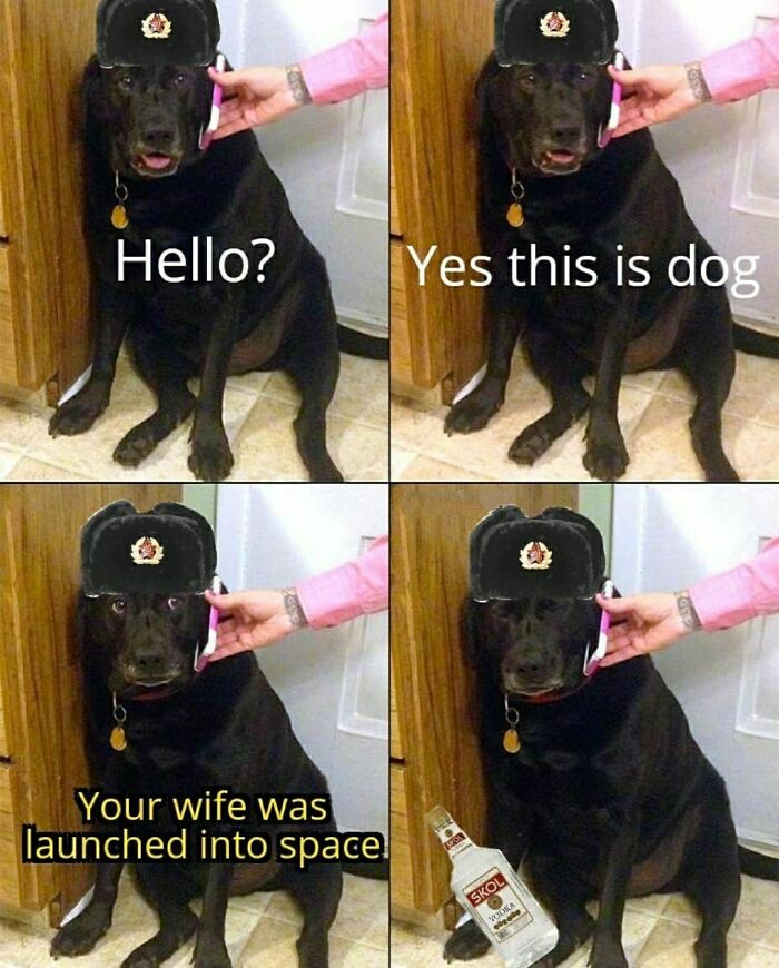 No Laika No!