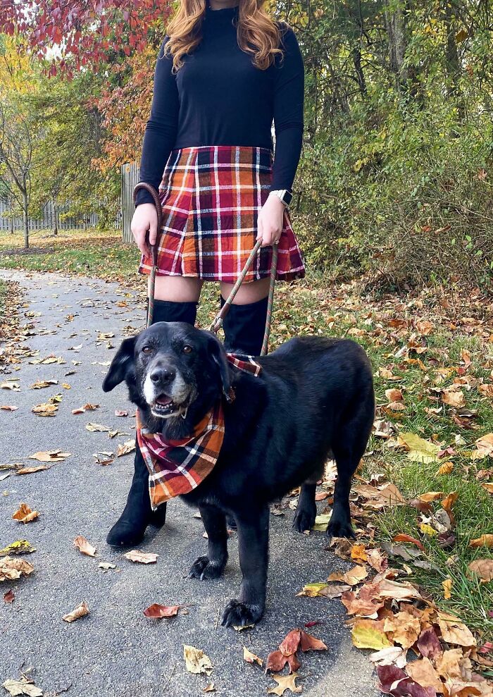 Used The Leftover Fabric From My Skirt Project To Make A Matching Bandana For My Sweet Boy (Skirt: Simplicity 2314a, Bandana: No Pattern)
