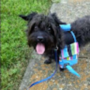 stephaniehill_1 avatar