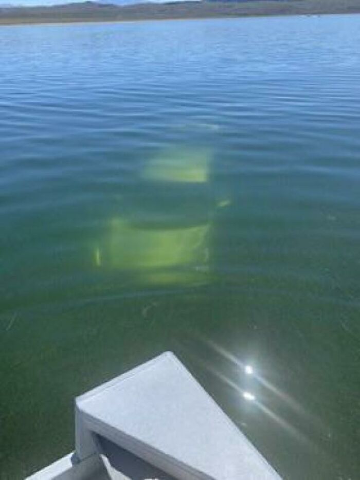 Drunk Driver Outside Bridgeport, California This Morning