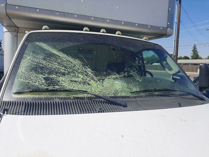 I Recommend Not Putting Spray Foam On Your Dash In 100° Weather