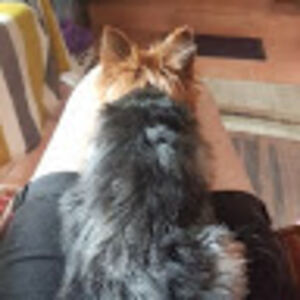 caitlindefouw avatar