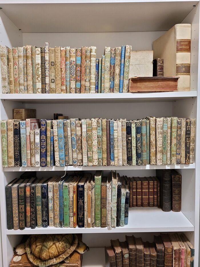 It Took Me A Little While To Get This Many Cartonnage Bindings, But I Truly Do Love These 19th Century Books. Time To See How Fast Of A Speedrun I Can Do Photographing All Of These Today.