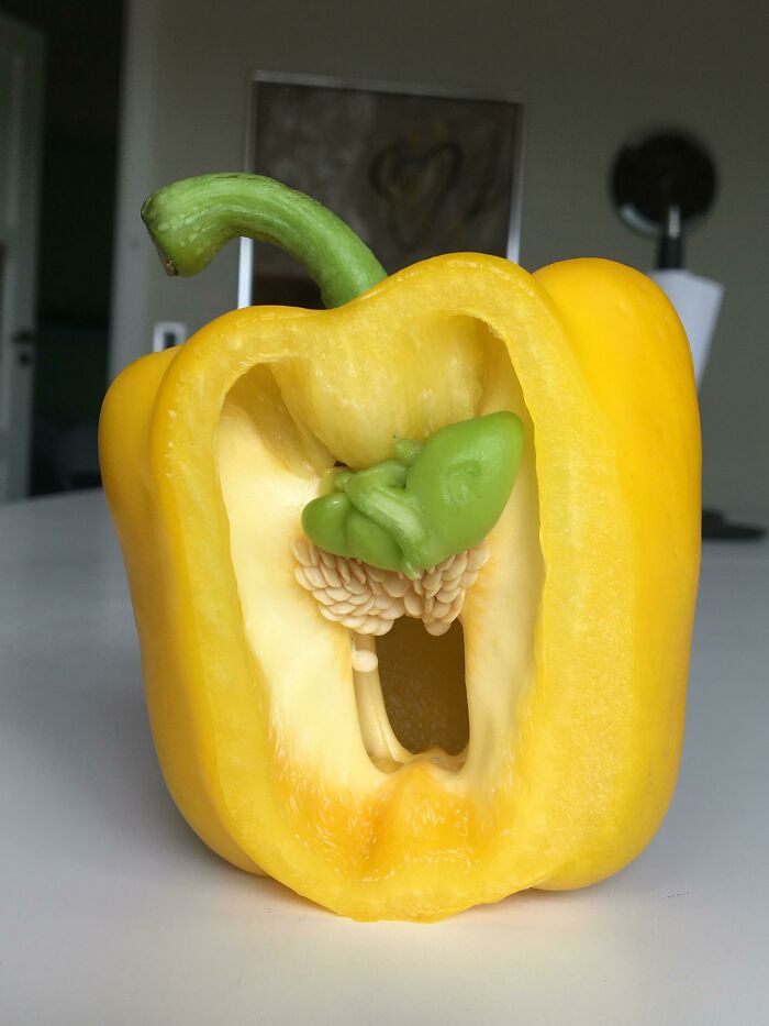 There’s Small Pepper Growing Out Of Our Larger One Which Ironically Looks Like A Baby