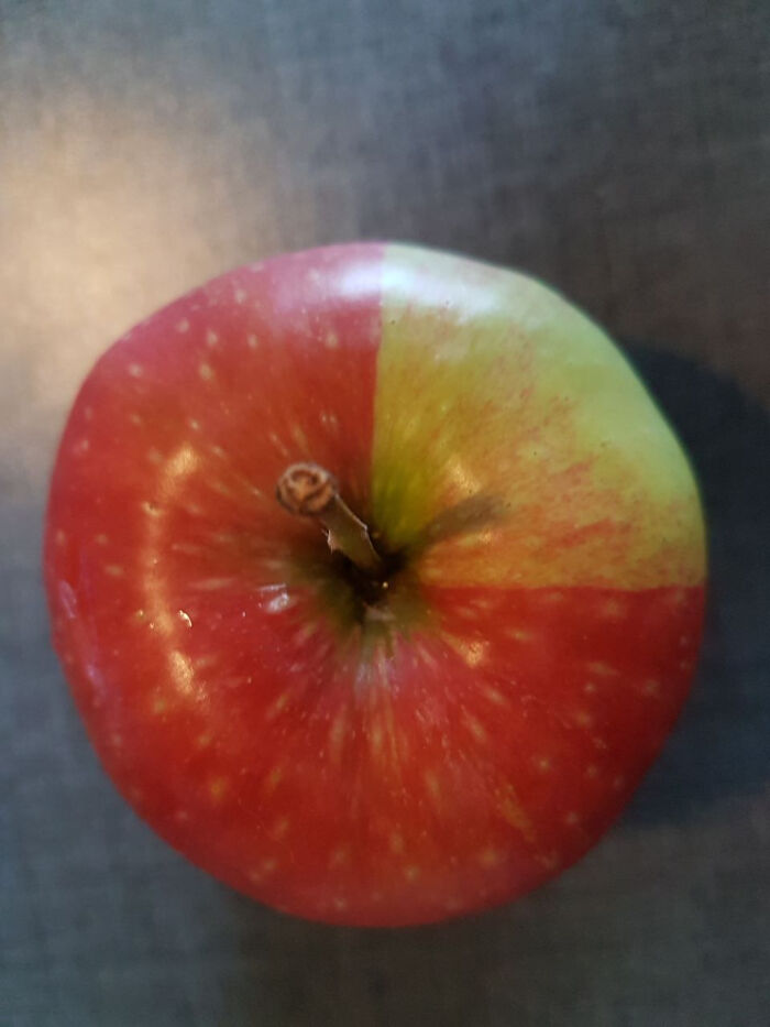 My Apple Looks Like Its Still Loading