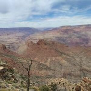 mariska_carson avatar