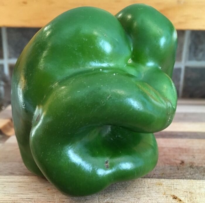 I Grew A Rare Bell Pepe