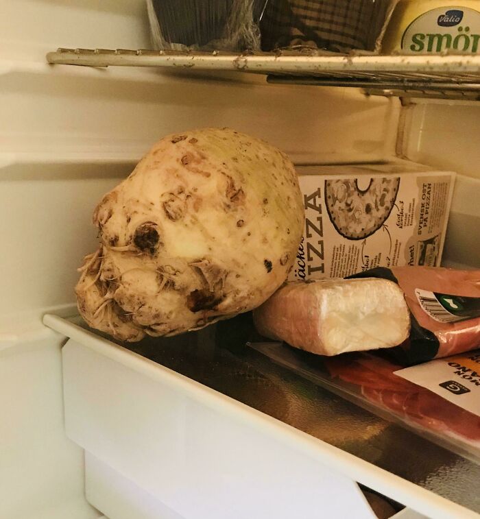 My Celeriac Scared The Devil Out Of Me