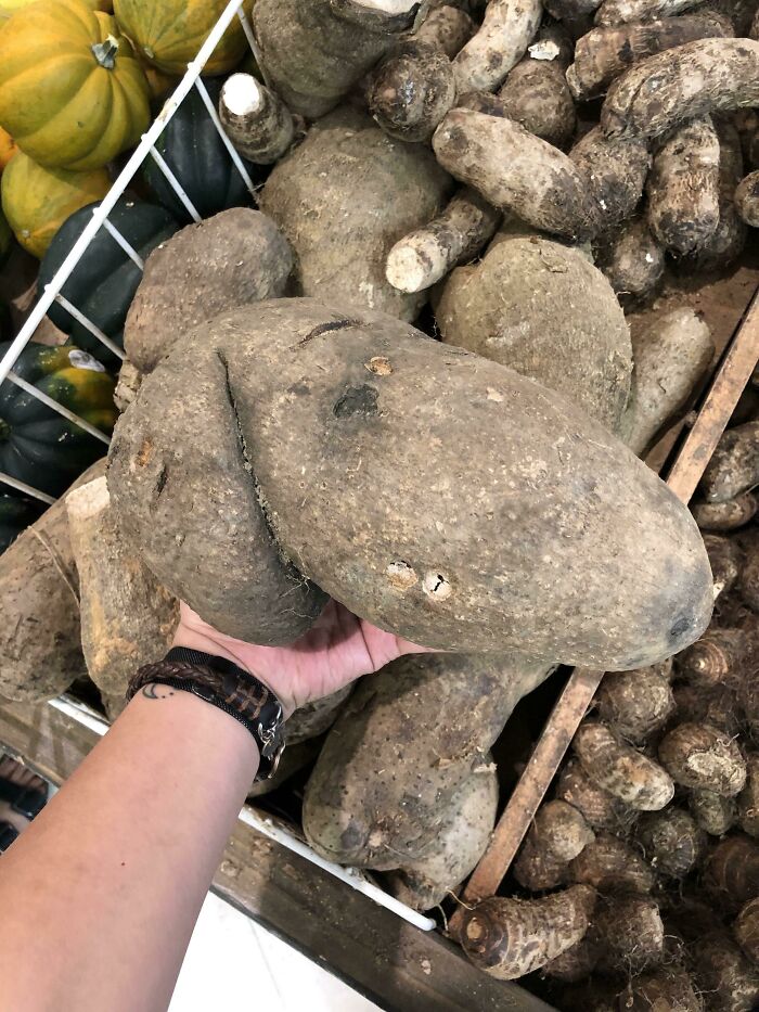 This Vegetable Sort Of Looks Like Snoopy