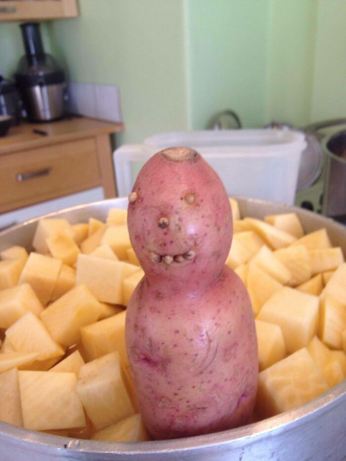 My Dad Found This Little Guy While Peeling Some Vegetables