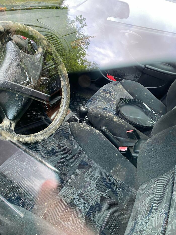 A Car I Parked Next To