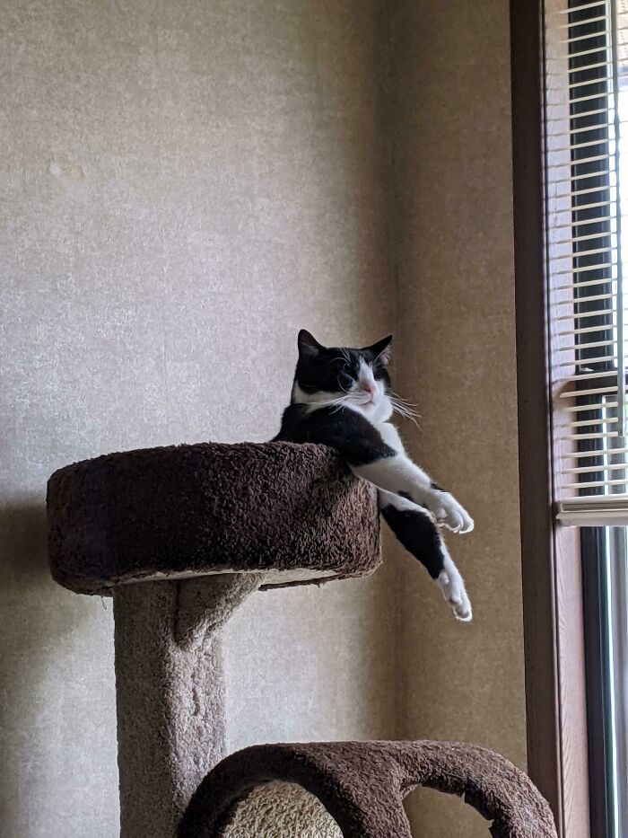 He Sleeps In The Weirdest Positions