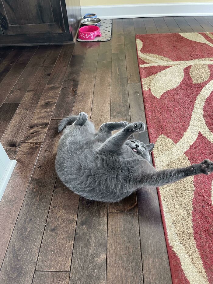 Mouse Doin A Weird And Bustin' Out His New Dance Moves