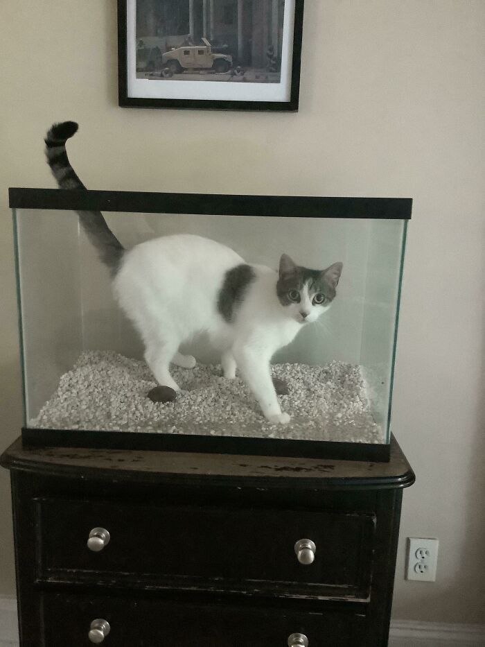 Check Out My Catfish!