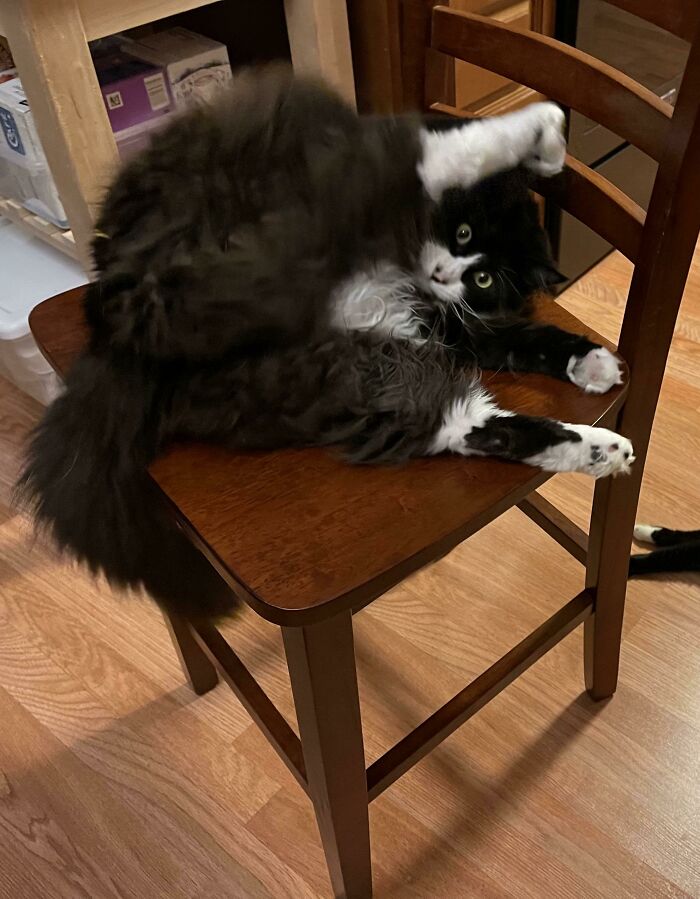 They Broke The Mold When They Made This Guy