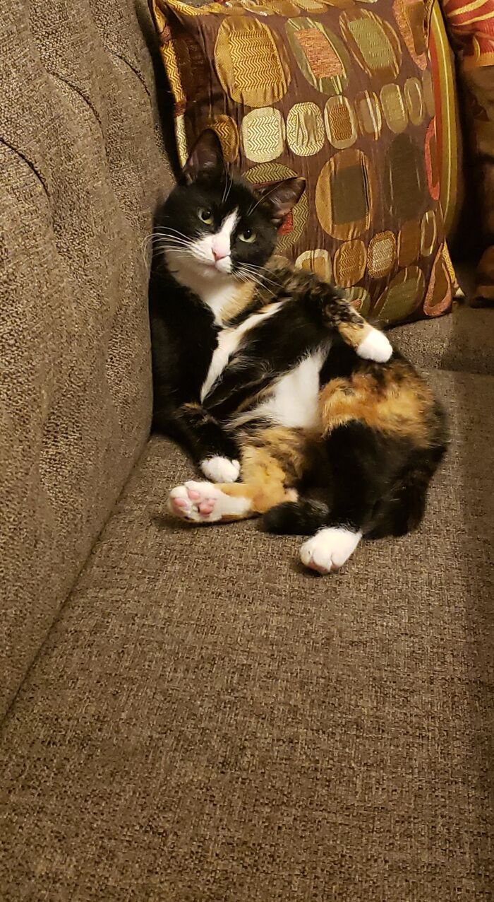 We Call This The "Ugly Sit" In Our House