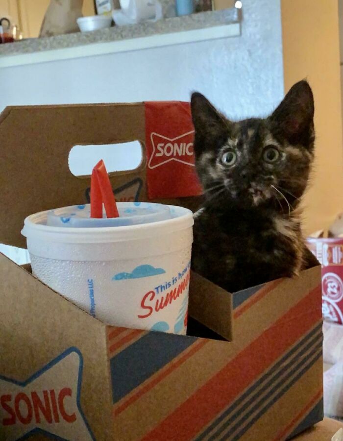 Found This Weird Drink In My Sonic Order? Plz Advise