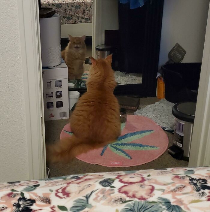 When You Get Caught Practicing Arguments