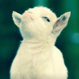 theinvasionfromwithin avatar