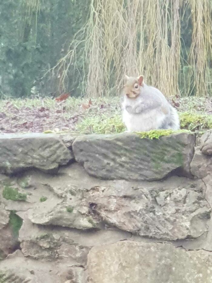 It's Not Even Autumn.