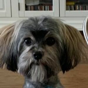 pandagirl1119 avatar