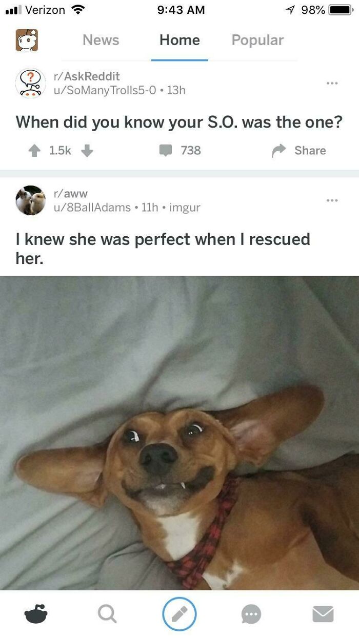 At Least They Found Someone