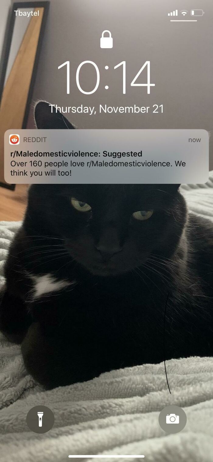 Ah Yes, The Magic Of Reddit’s Notification System