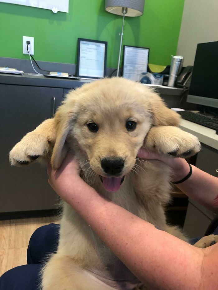 My Sister Is A Vet Tech. She Sends Me Pictures Of Her 'Clients' Sometimes