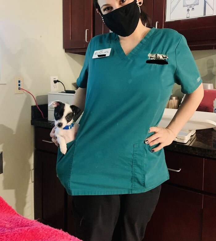 Best Part Of The Job