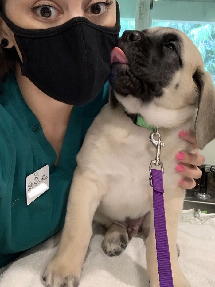 Gus Knows The Importance Of A Mask