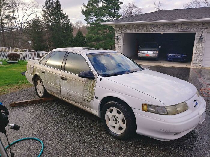 It Sat Under A Tree For 10 Years