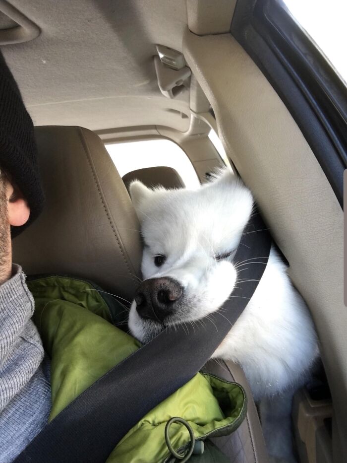 "Are We Theere Yet?"