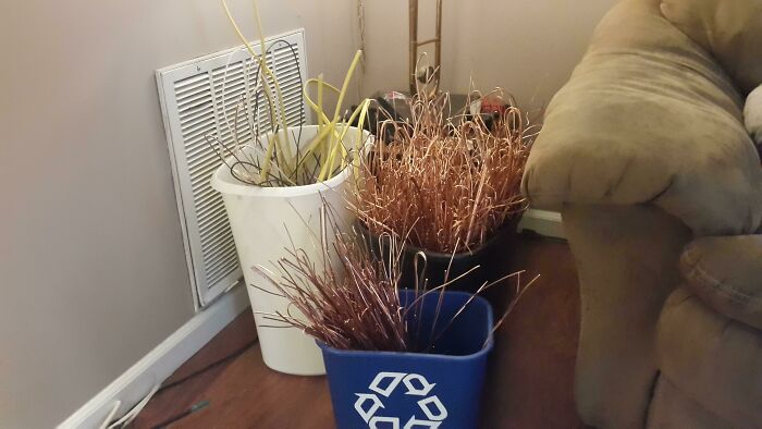 Oh The Life Of An Electricians Wife, Forced To Strip For Extra Cash!