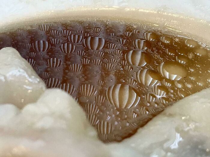 Reflection Of Window On My Dumpling Soup