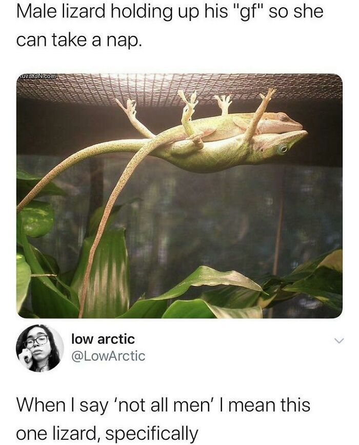 Hvm Right There. Take Note Scrotes