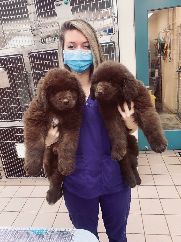 They’re Actually Not As Heavy As They Look