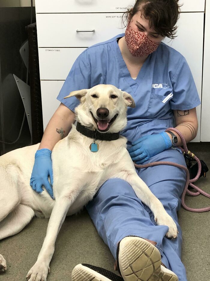 Sweetest Girl Lay On My Lap Like This For Her Whole Nail Trim
