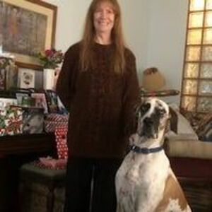 ladyintheshade avatar