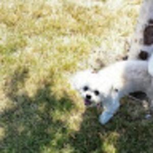 jeffjohnston_1 avatar