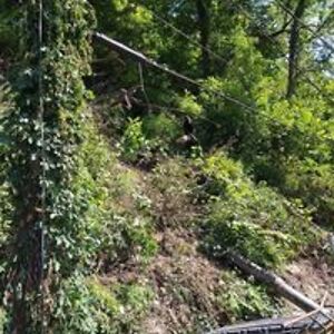 wvabigfoothunter avatar